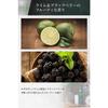 Quattro Botanico Body Cream Lime & Blackberry Scent Moisturizing [Botanical Body Treatment Milk] Pump for Dry Skin and Sensitive Skin Men's Unisex Add