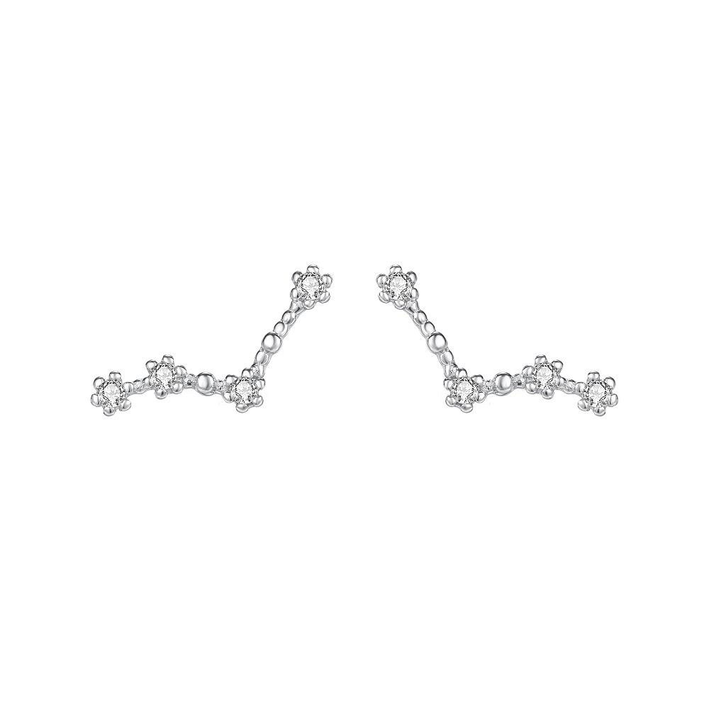 

S925 Sterling Silver Constellation Ear Pins - Shiny Zircon 12 Star Sign Stud Earrings for Women Astrology Jewelry Gift