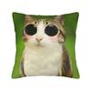 Meowl Cat Owl Meme Pillowcase Printing Cushion Cover Decorative  Pillow Case Cover Seater Square