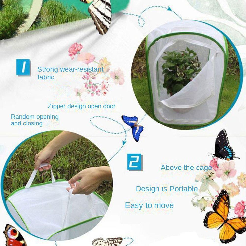 Collapsible Butterfly Habitat Pop-up Protection Net Durable Insect Cage