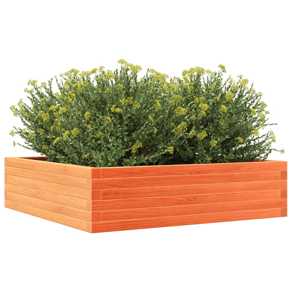 Plant Pot Wax Brown 90 X 90 X 23 Cm Solid Pine Wood