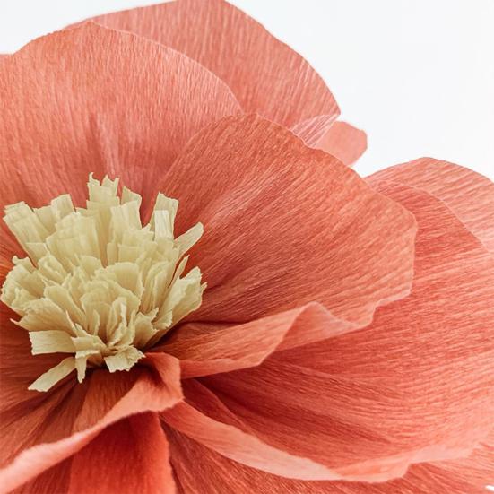 Kwiaty z bibuły DIY Ręcznie robione Papierowe Kwiaty Dekoracja Ścienna na Dom, Imprezę, Wesele, Urodziny