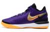 Zoom LeBron NXXT Gen EP Purple DR8788-500