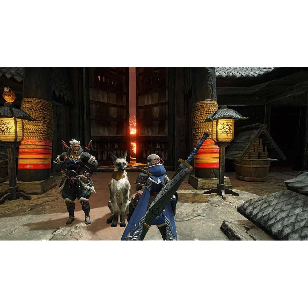 Monster Hunter Rise -Switch