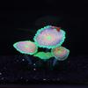Simulation Coral Luminous Water Grass Aquarium Fish Tank Landscape Decoration Silicone Colorful Circle Aquatic Plant Home Decor