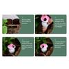 4 Pcs Self Watering Bulbs Mushroom Terracotta Watering Globes Planter Insert Automatic