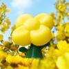 Donggubat Perfume Bar Canola / Housewarming Gift Set for Friends