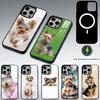 Huse pentru telefoane – Huse tip bumper pentru telefon