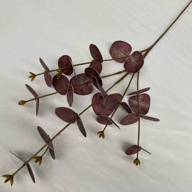 Peníze Eukalyptové Listy Stonky Pro Vnitřní Venkovní Svatba Dárek Dekorace