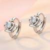 Lindon Zircon Copper Alloy Earrings Drop Earrings For Women Wedding Party Gifts