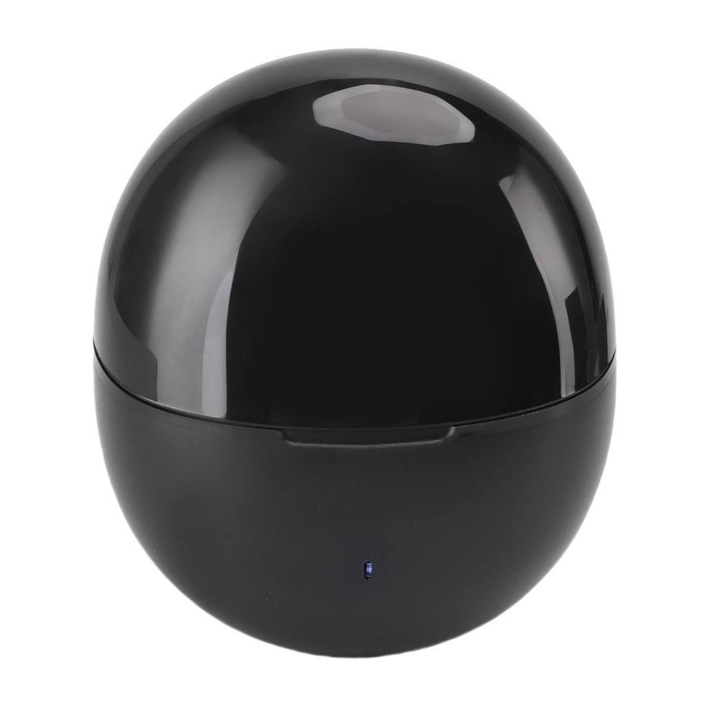 Translation Earphones 164 Languages Wireless Headphones with APP for Travel Business Study