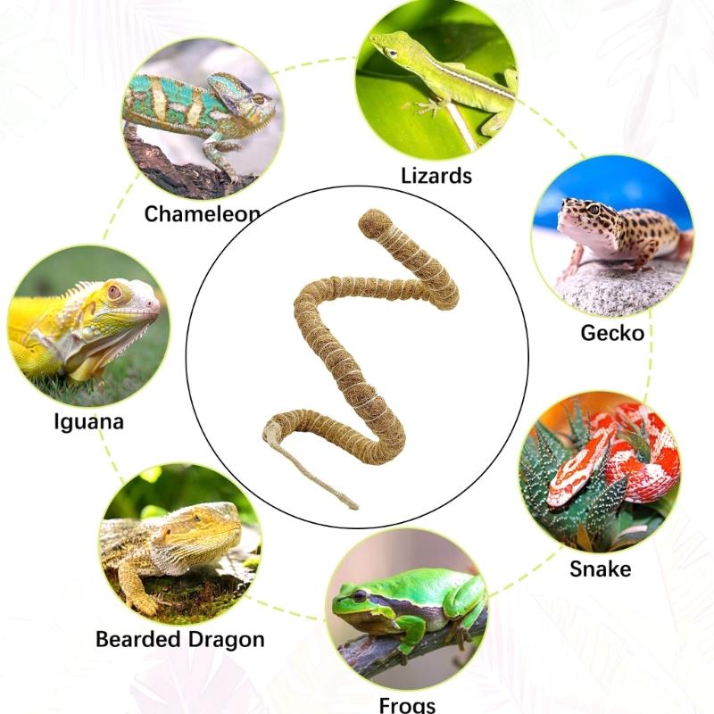 Reptilien Ranken Terrarien Dekorationen Biegsame Dschungel Kletterranke Flexible Kokosfasern Ranke für Amphibien Klettern Verstecke