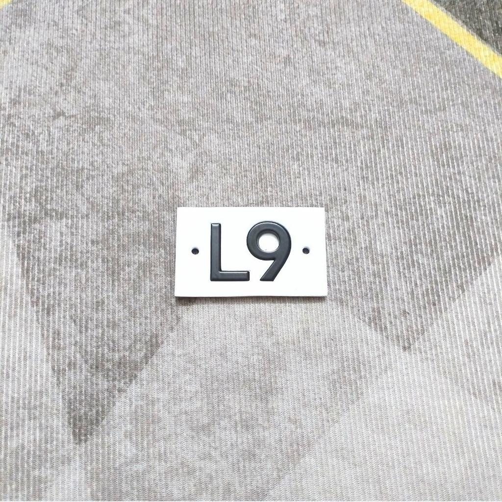 Ideal L9 L8 L7 L6 front hood logo is bright black, rear logo is pasted with tailgate lettering, original factory bright black