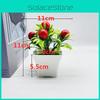 Fruit Red Orange Chili Pomegranate Simulated Potted Artificial Plastic Flower