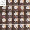 DIY Lacquer Round Fan Painting Set - Includes Pigment and Absorbent Paper