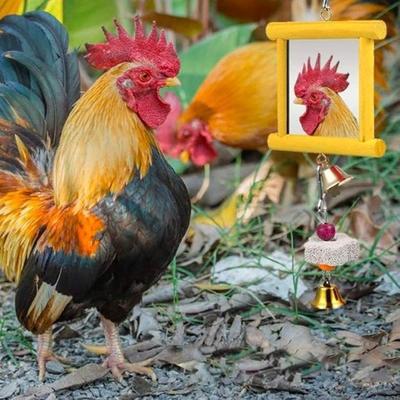 Chicken Coop Mirror Swing Chicken Mirror Beak Grinding Molar Stone Safe Multi Functional Roosters Hens Entertainment for Garden