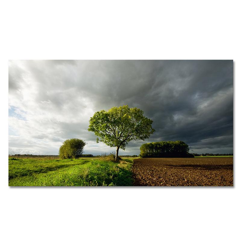 Field Tree Krajina Nástěnné umění Hora Malba na plátně Plakáty a obrazy Moderní nástěnný obraz do obývacího pokoje