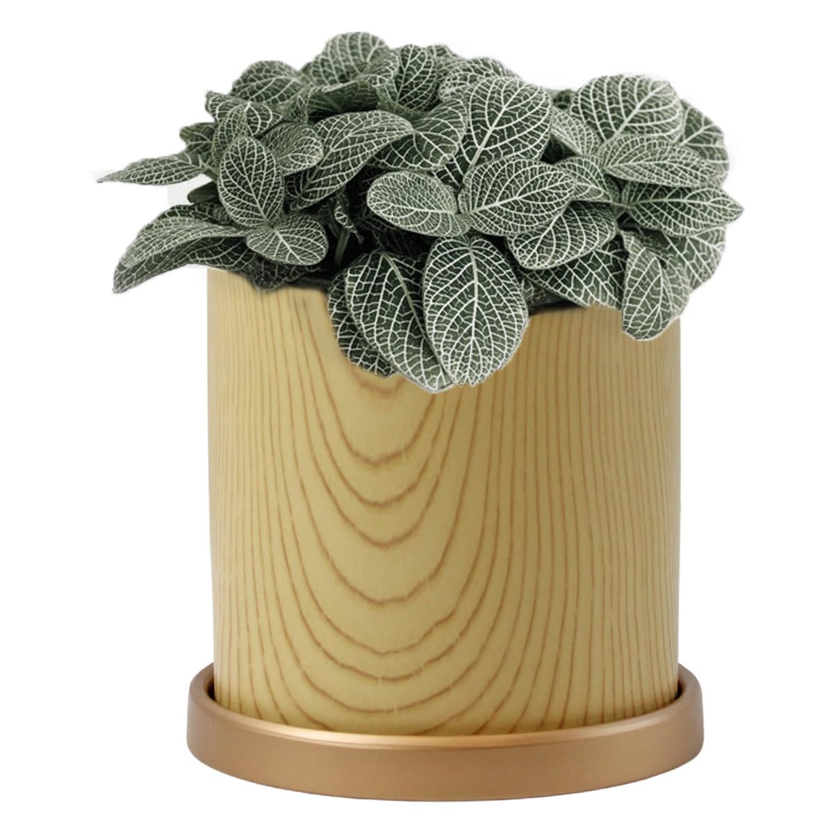 

iikuru Цветочные Стильные Керамические Горшки для Суккулентов, Кашпо, Поддоны, Комнатные растения, Горшки, бежевый