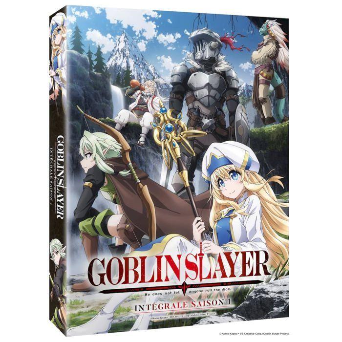 Dvd japanimation - goblin slayer - intégrale saison 1 - zone 2 - japonais - édition standard