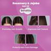 WildOak Rosemary, Bhringraj & Jojoba Hair Oil | Olive Extracts | Hair Growth, Strenghthening Hair Follicles,50ml - Pack of 2