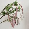 Realistic Hyacinth Bean Artificial Vegatable Decoration Lifelike Simulation Bean Pods for Kitchen Restaurant Home Decor