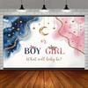 2D Boy or Girl Gender Reveal Backdrop Baby Shower Photography Background