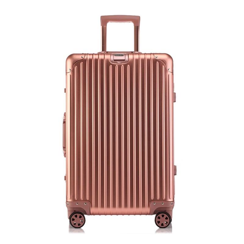 DREAMGIFT DG1801 20-Inch Aluminum-Magnesium Business Spinner Luggage