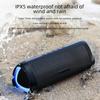 Cerberus Bluetooth 5.3 Portable TWS Speaker with Colorful Lighting & HD Call, Waterproof