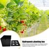 Plant Trays For Seedlings Adjustable Humidity Cover Propagator Gardening Tools Germination Tray For Parterre Hotel Apartment