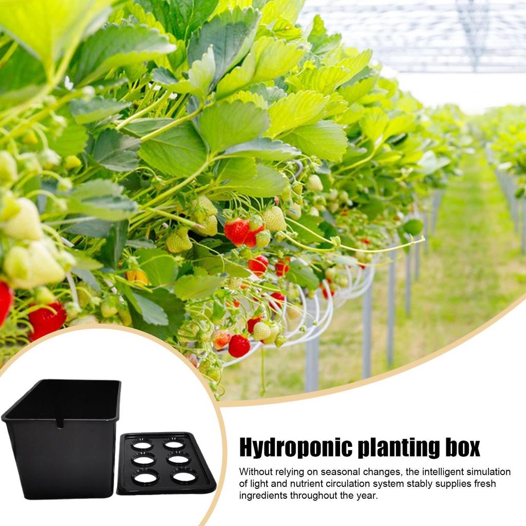 Plant Trays For Seedlings Adjustable Humidity Cover Propagator Gardening Tools Germination Tray For Parterre Hotel Apartment
