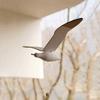 Elegant Flying Flapping Seagull Crafts Wooden Flying Seagulls Pendant  Homestay