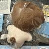 [USED] BTS Jungkook plush toy 10cm