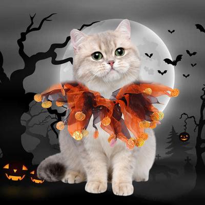 Fuuny Pumpkin Halloween Cat Costume Spider Adjustable Cat Collar Hat Set Scarf Mesh Pet Halloween Supplies Small Dog