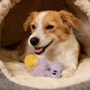 Squeaky Stuffed Dog Toy Soft Plush Pet Chew Toy Interactive Crinkle Puppy Teething Toy for Small Medium Dogs Cats