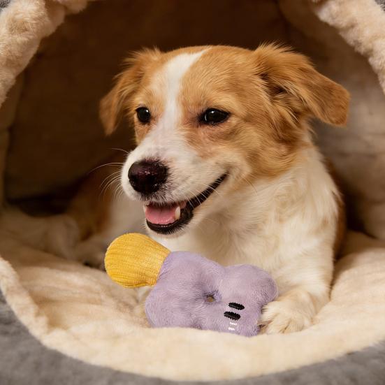 Squeaky Stuffed Dog Toy Soft Plush Pet Chew Toy Interactive Crinkle Puppy Teething Toy for Small Medium Dogs Cats