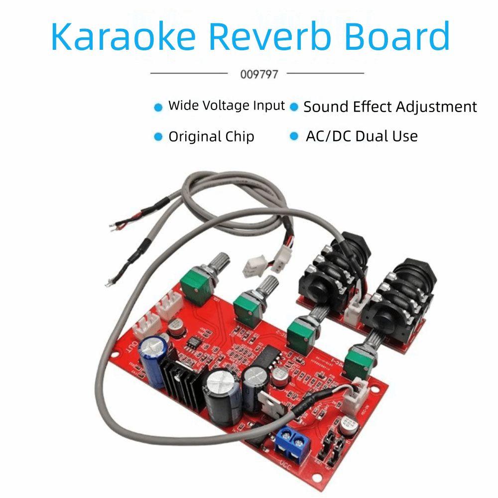 Pre-amplification Effect Reverb Board Fixed/Separate HIFI Audio Amplifier Board  Dynamic Microphone
