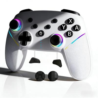 Switch 2 Controller 2026 Innovative Model Switch Pro Controller PC Controller TURBO Rapid Fire Function Macro Function Back Buttons RGB Lighting Large