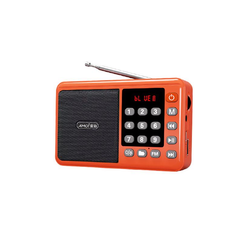 Mini Tragbares FM Radio LED Display Digitale Radios Empfänger Kabelloser Bluetooth Lautsprecher USB TF-Karte Musikplayer Unterstützung Aufnahme