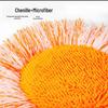 Multi-functional Sunflower Round Mop for Ceiling and Household Cleaning