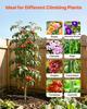 Garden Trellis, 152 X 40.5 Cm Rose Trellis, 4 Packs Garden Flower Rose Trellises with Powder-Coated Finish & Convenient Locking Design, Plant Support