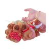 Little Red Book Capybara & Guinea Pig Plush Keychain Ornament