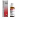 Dr. Reckeweg R55 Injuries, Healing Drops
