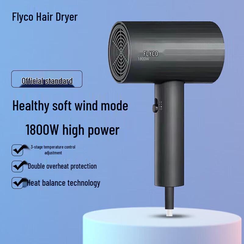 FLYCO FH6297 1800W Negative Ion Hair Dryer CN plug (adapter included)