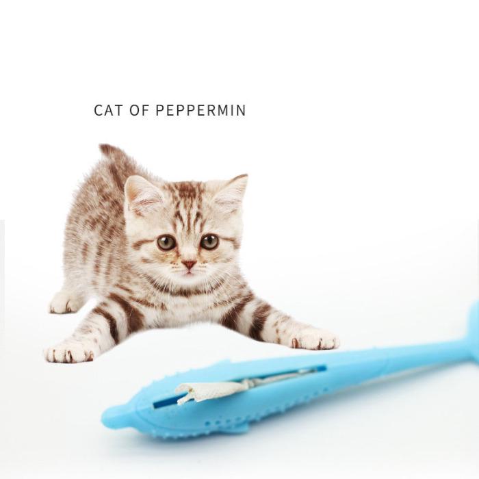 small cat toothbrush