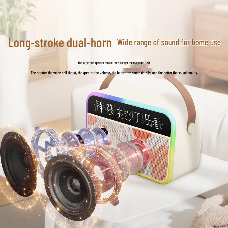 Tanula Dual-Mic Karaoke Speaker with AI Features (CN version)