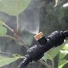Patio Misting Cooling Water Fog Sprayer System For Greenhouse Garden Flowers Plant Waterring Irrigation Nebulizer Sprinkler