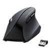 SANWA SUPPLY Wireless Blue LED Ergonomic Mouse, Tendonitis Prevention, 5 Buttons, Large, MA-ERGW10