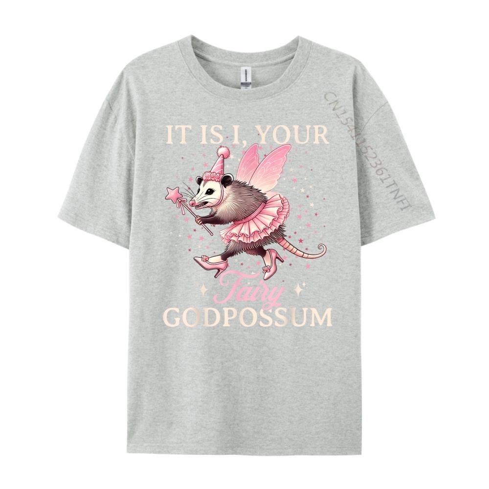 It Is I Your Fairy Godpossum Funny Opossum Spirit Animal Mens Clothing 2025 Mens Shirts Cinco De Mayo