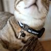 For AirTag Tracker Reflective Pet Collar Silicone Protective Case with ID Address Tag