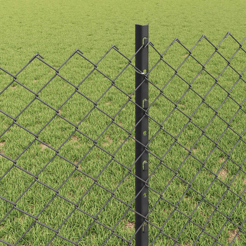 Chain Link Fence with Posts 10 x 0.8 m (W x H)
